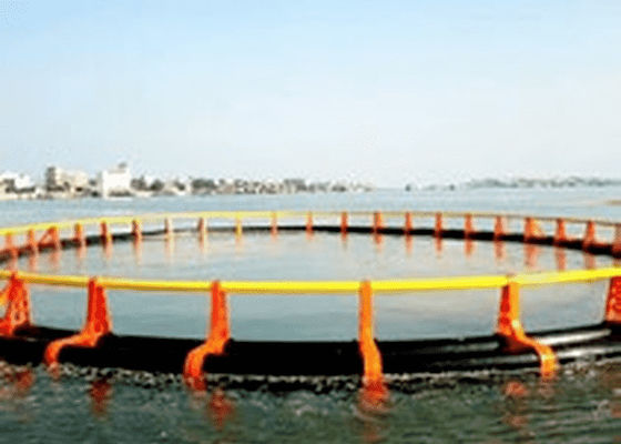 JWELL Profile Extrusion Machine PE Marine Pedal Making Machine